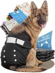 HUND IST K&Ouml;NIG Hundewindeln f&uuml;r H&uuml;ndinnen (3 St&uuml;ck) - Hochabsorbierende