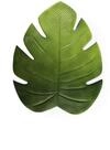 Excelsa Tropical Set 6 Platzdeckchen Tischset Platzset in Blattform, 48 x 38 cm,