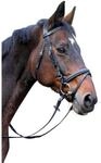 Covalliero Trensenzaum Classic Leder, schwarz, Pony