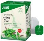 Salus - Gourmet Tee - Minz Trio - Pfefferminztee - 15 Filterbeutel (25,5g)