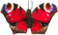 Uni-Toys - Schmetterling rot (mit Schlaufe) - 24 cm (Breite) - Pl&uuml;sch-Insekt -