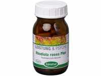 Rhodiola Rosea Plus B-Vitamine Kapseln