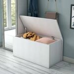 Dmora - Stamm Miltonia, gro&szlig;e Mehrzweck-Aufbewahrungsbox, moderne Truhe, 100 % Made