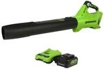 Greenworks 24 V b&uuml;rstenloses Axialgebl&auml;se (450 CFM), 4 Ah USB-Akku und...