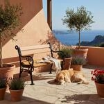 PROREGAL Gartenbank Curacao | 2-Sitzer | Holzoptik | HxBxT 85x115x60cm |...