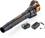 LawnMaster MX 24V Akku-Laubbl&auml;ser mit Axialgebl&auml;se | Leistungsstarker kabelloser