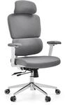 hjh OFFICE Ergonomischer B&uuml;rostuhl Ergomy WF 2 &ndash; Drehstuhl mit Verstellbarer