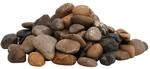 vidaXL Polierte Kiesel 10 kg Mehrfarbig 2-5 cm