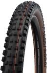 SCHWALBE Magic Mary Gravity PRO, TLR