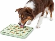 hundenapf - katzennapf - leckmatte Hund - Klaver quadratisch - hellgr&uuml;n - 20x20x1,5