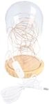 goobay 60340 Glasglocke mit LED-Micro-Lichterkette/dekorative Lampe/warmes,