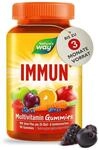 Immun Komplex Multivitamin Gummies I Mit Vitamin C und Zink hochdosiert...