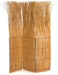 Design RAUMTEILER Nature | 160x120 cm (LxB), Weidenholz, honigfarben | &Auml;ste