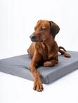 TrendPet VitaMedog Wet - Wasserabweisende orthop&auml;dische Matratze f&uuml;r Hunde,