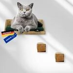 Rohrschneider Katzen Wandelemente 3-TLG., 8mm Sisalseil, geflammt (gr&uuml;n)