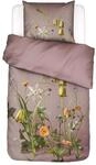 ESSENZA Bettw&auml;sche Ficaria Woodrose, 135x200 cm + 1x 80x80 cm - 100%