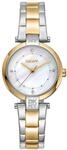 DKNY Quarz Damenuhr Essential Mini mit Edelstahlarmband