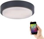 Paul Neuhaus Q-Lenny LED Wand- Deckenleuchte &Oslash;36cm anthrazit rund smarthome