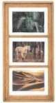 Atmosphera - Bilderrahmen Collage "Eliott" - 3 Fotos - Mangobaum und Glas -...
