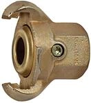 RIEGLER 107862-KI 12 M Klauenkupplung mit Innengewinde, G 1/2, mit...