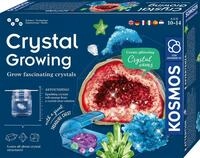 KOSMOS 617387 Kristalle z&uuml;chten - Lass faszinierende Kristalle wachsen -