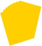 folia 65131 - Plakatkarton, ca. 48 x 68 cm, 10 B&ouml;gen, 380 g/qm, einseitig...