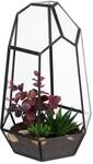 Relaxdays Pflanzenterrarium, Glas & Zinn, Deko Glashaus f&uuml;r Kakteen & Moos, offener
