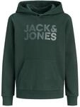 JACK & JONES Jjecorp Logo Sweat Hood Noos Jnr
