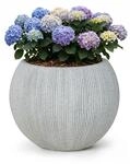 Mazovia Pflanzentopf f&uuml;r Terrasse, Balkon und Zuhause, 53x53x42 cm Rotondo L UV- und