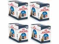 Royal Canin Light Weight Care Gravy | 4er Pack | 4 x 12 x 85 g | Nassfutter für