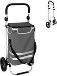Relaxdays Einkaufstrolley, 2 gro&szlig;e R&auml;der, K&uuml;hlfach, abnehmbare Tasche, 45 l,...