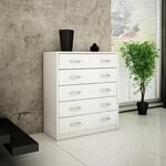 Home Collective Schuhschrank mit 5 aufklappbaren Schubladen, Schuhregal mit 5