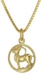 trendor Kinder Sternzeichen Steinbock 333 Gold + goldplattierte Kette