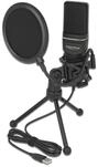 Delock USB Kondensator Mikrofon Set - f&uuml;r Podcasting, Gaming und Gesang