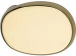 Knopf gekr&ouml;pft oval, 51 x 81 x 47, Edelstahl Messing poliert