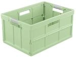 keeeper benno Stabile Profi-Klappbox, Gr&uuml;n (Eco Grass Green)