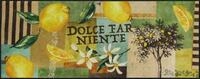 Salonloewe Fussmatte Dolce Far Niente I Schmutzfangmatte & Fu&szlig;abtreter f&uuml;r...