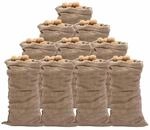 vidaXL Jutes&auml;cke 10 Stk. 65x135 cm 100% Jute 220 g/m&sup2;