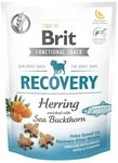 VAFO Praha s.r.o. BRIT Dog Snacks 150G Snack Recovery Thorn