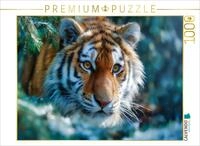 Puzzle &middot; Herrscher der Stille