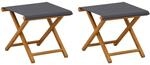 vidaXL Liegestuhl 2 pcs Massives Eukalyptus Holz Grau