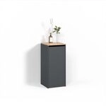 Livinity Badschrank Paolina, Anthrazit/Goldkraft Eiche, 40.2 x 88.2 cm