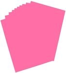 folia 65270 - Plakatkarton, ca. 48 x 68 cm, 10 B&ouml;gen, 380 g/qm, einseitig...