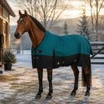 Brama-West Winterdecke Florie Pferdedecke Turnout 1200D High Neck 100 GMS -