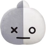 BT21 VAN Cushion