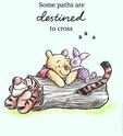 Disney Wandbild von Komar | Winnie Pooh Path | Kinderzimmer, Babyzimmer, Dekoration,