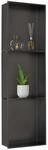 Dalsys Wandnische 30 x 100 x 12cm Schwarz Edelstahl