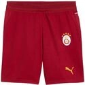 PUMA Galatasaray Istanbul Replica Short 2026/2027 Kids Kinder