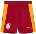 PUMA Galatasaray Istanbul Training Short Herren