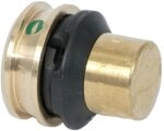 Viega Raxofix Verschlussst&uuml;ck aus Messing, 32 mm, Modell 5356